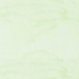 Dr.Paper A4 200gsm藝術封面卡紙 鳳紋系列-蘋果綠 10入/包 #20-1409